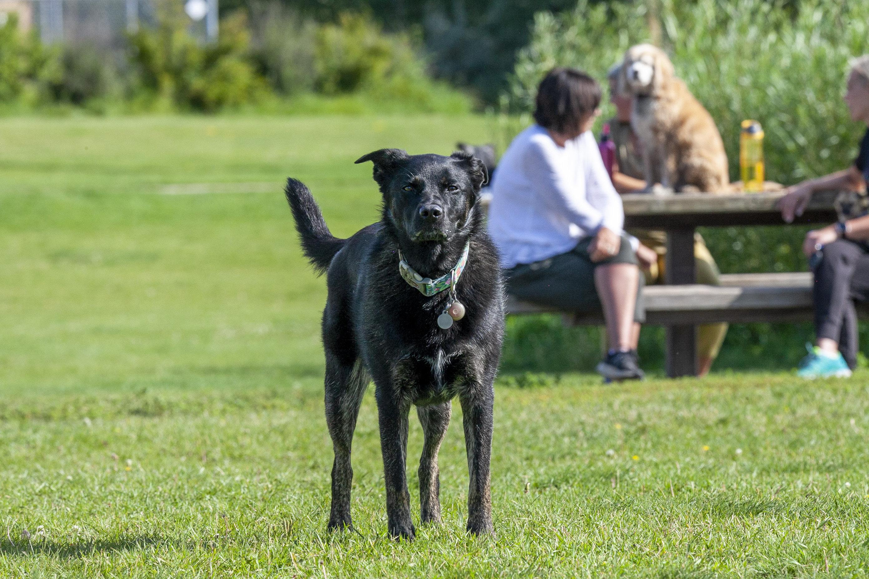 Summer Activities Visit Red Deer